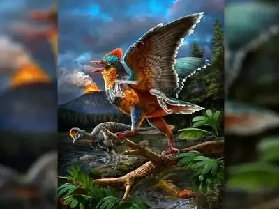 یافتن قدیمی‌ترین پرنده فسیل شده در چین