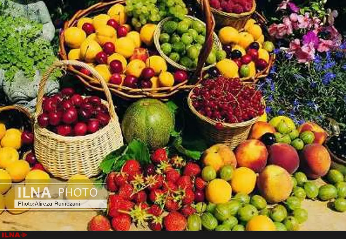 خسارت هنگفت قاچاق میوه در دولت احمدی‌نژاد/ واردات بی‌رویه بیشترین آسیب را به تولید انجیر و لیموترش وارد کرد