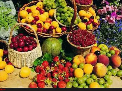 خسارت هنگفت قاچاق میوه در دولت احمدی‌نژاد/ واردات بی‌رویه بیشترین آسیب را به تولید انجیر و لیموترش وارد کرد