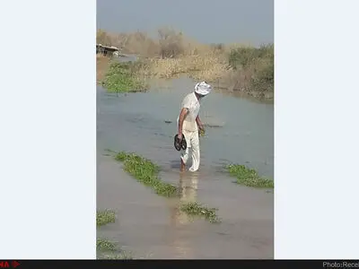 رد پای سیاست‌های غلط انتقال آب در فاجعه سیل خوزستان/ کشاورزان: ۸ شبانه‌روز در سرمای کرخه به آب زدیم