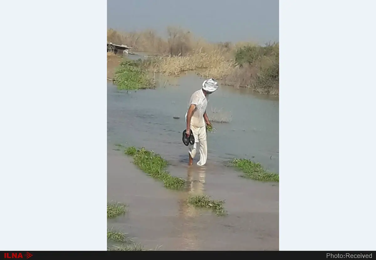 رد پای سیاست‌های غلط انتقال آب در فاجعه سیل خوزستان/ کشاورزان: ۸ شبانه‌روز در سرمای کرخه به آب زدیم