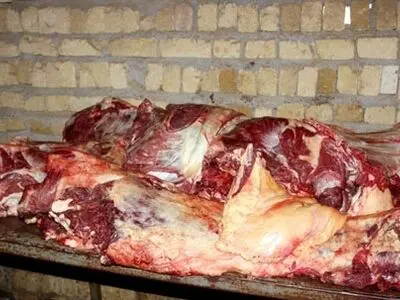 جمع‌آوری جایگاه‌های غیر مجاز عرضه و کشتار دام در شوش