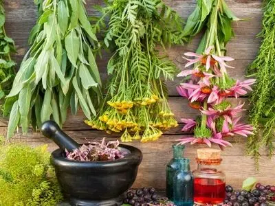 خواص متعدد گیاهان دارویی چگونه کشف می شود + فیلم