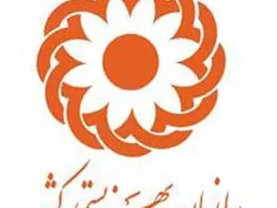 طرح حمایت از کودک و خانواده در ۱۵ استان اجرا می‌شود