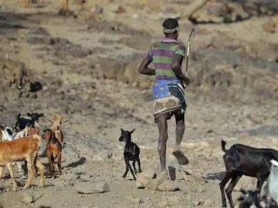 آیا انسان‌ها هنوز در حال تکامل هستند؟ 