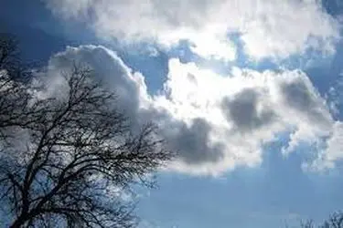  کاهش نسبی دما در شرق کشور از فردا