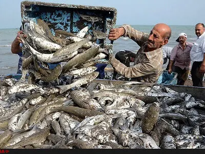 بررسی خسارت صیادان معترض به نیمه تیرماه موکول شد