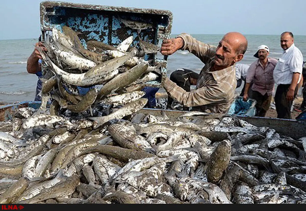 بررسی خسارت صیادان معترض به نیمه تیرماه موکول شد