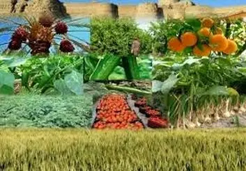 فرهنگسازی در راستای توسعه و تحقق اهداف بیمه محصولات کشاورزی در کشور ضروری است