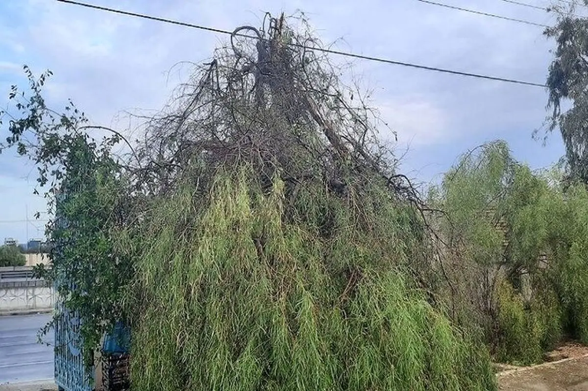 طوفان شدید با سرعت ۹۷ کیلومتر بر ساعت چابهار را درنَوَردید