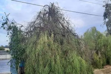 طوفان شدید با سرعت ۹۷ کیلومتر بر ساعت چابهار را درنَوَردید