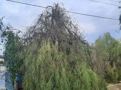 طوفان شدید با سرعت ۹۷ کیلومتر بر ساعت چابهار را درنَوَردید