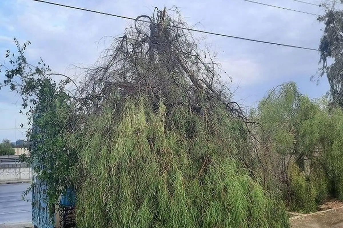 طوفان شدید با سرعت ۹۷ کیلومتر بر ساعت چابهار را درنَوَردید