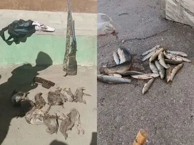 بازداشت متخلفان شکار و صید غیرمجاز در شهرستان کوهرنگ