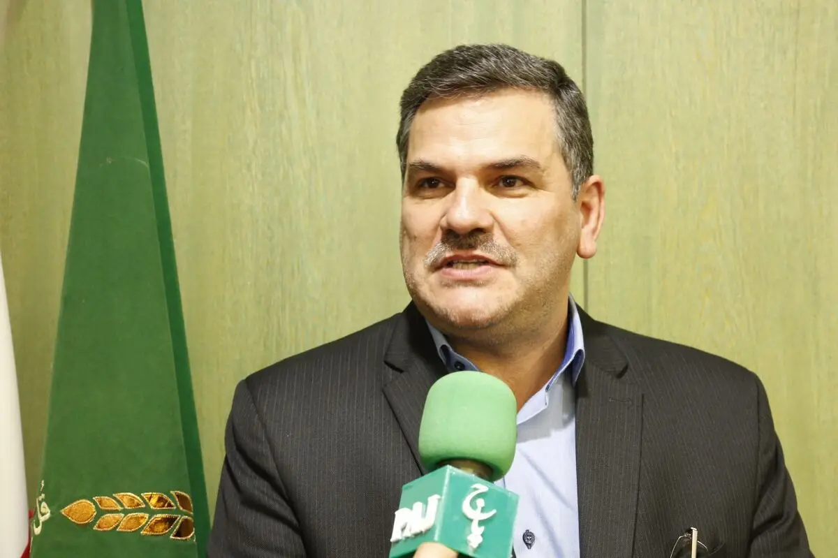 نهاده‌های مورد نیاز مرغداران به میزان کافی تامین شده است/ آغاز خرید حمایتی گوشت مرغ مازاد بر نیاز از تولیدکنندگان