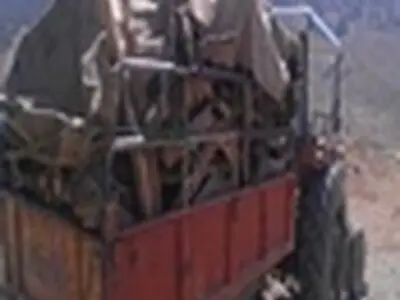 دستگیری دو متخلف حمل چوب در منطقه حفاظت شده شیمبار(خوزستان)