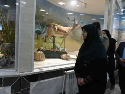 موزه‌های محیط‌زیستی پایگاه‌های فرهنگی و پژوهشی هستند