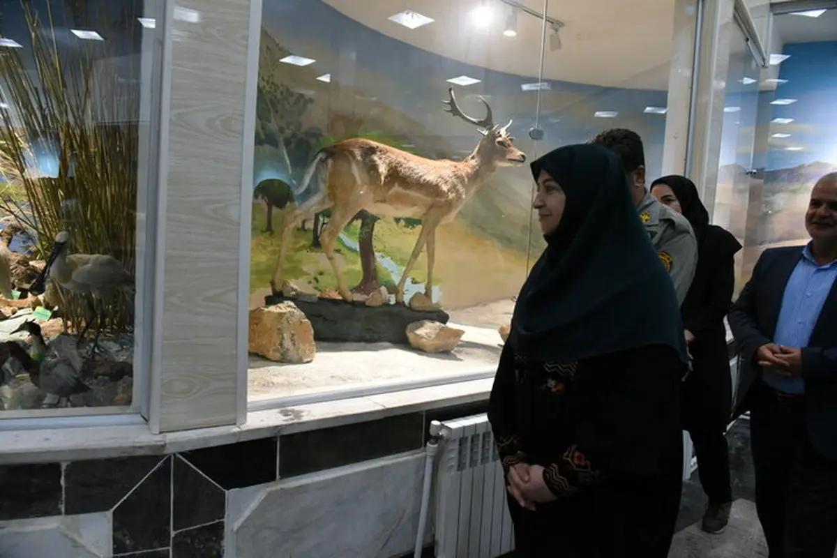 موزه‌های محیط‌زیستی پایگاه‌های فرهنگی و پژوهشی هستند