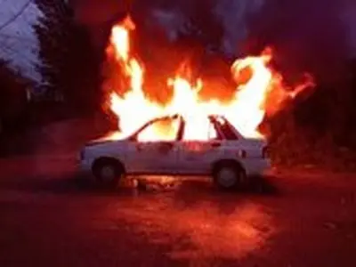 تصادف با دام در جاده شفت/ خودروی سواری را به آتش کشید