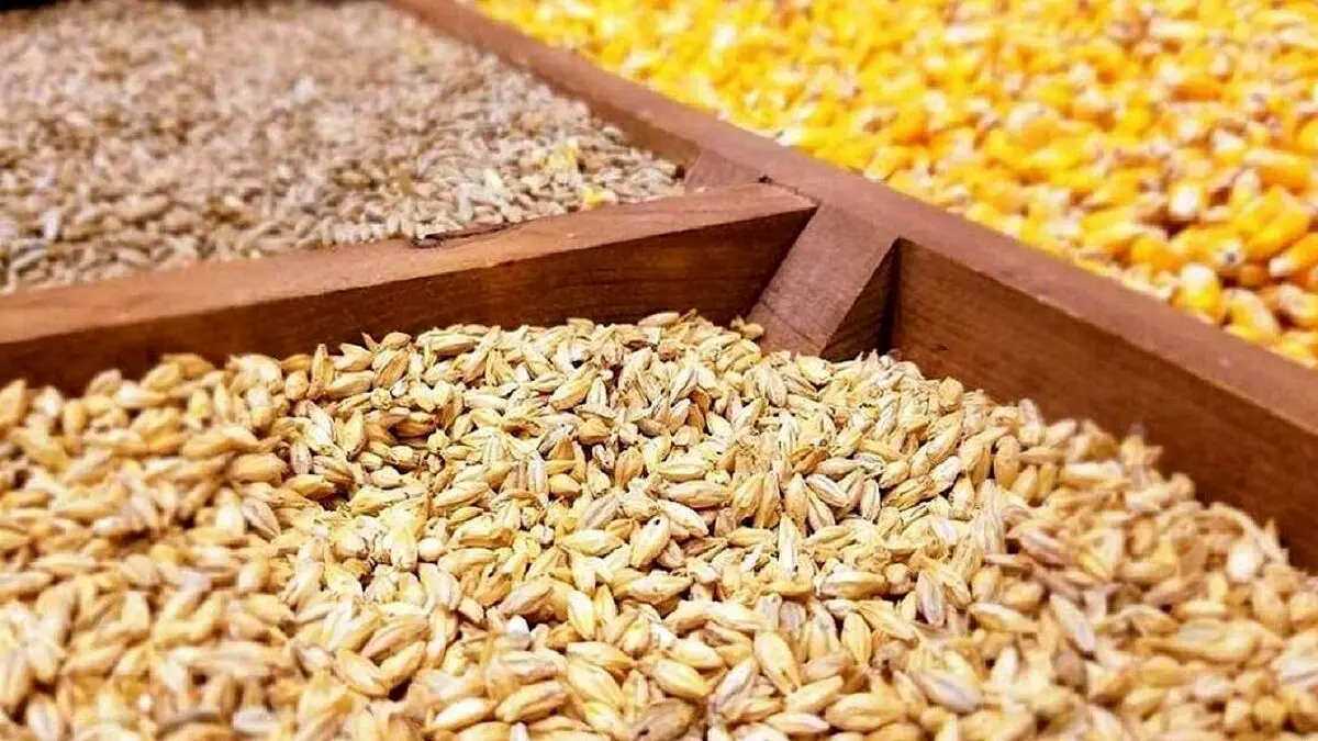 عرضه بیش از نیم میلیون تن نهاده در بازارگاه