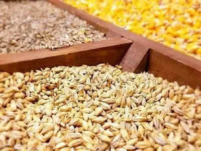 عرضه بیش از نیم میلیون تن نهاده در بازارگاه