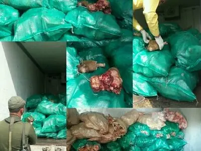 دو تن کله‌پاچه غیربهداشتی در ساوجبلاغ کشف شد