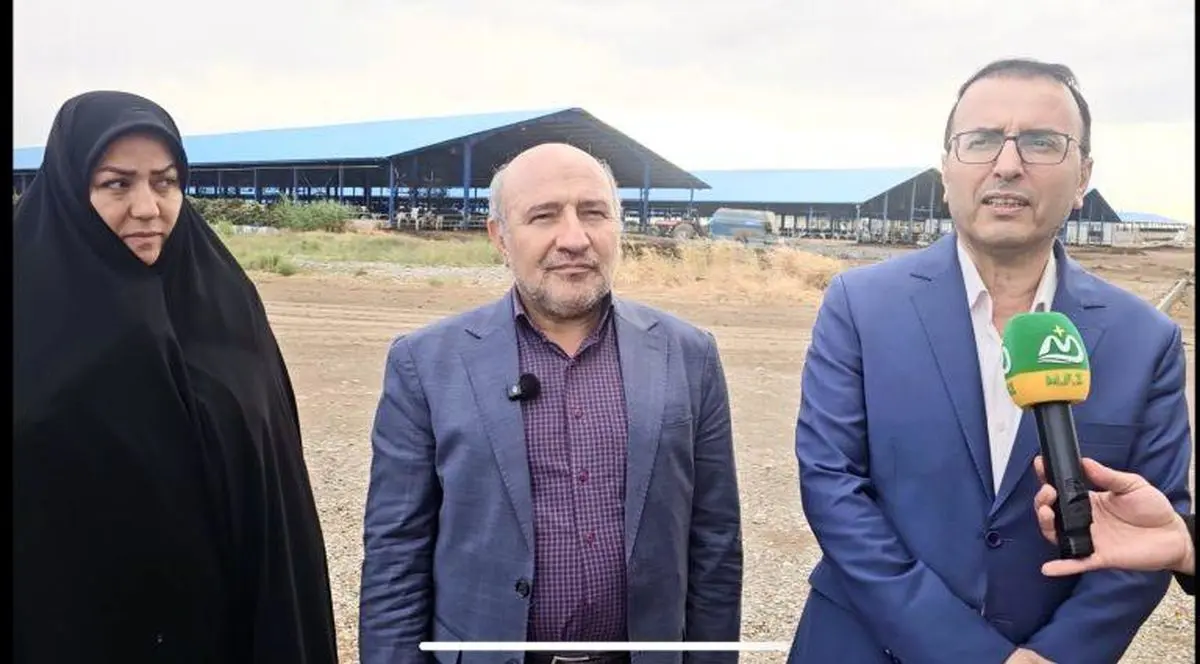 منطقه آزاد ماکو، فرصت طلایی سرمایهگذاری در زنجیره دام و طیور