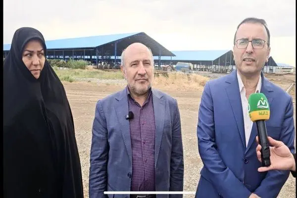 منطقه آزاد ماکو، فرصت طلایی سرمایه‌گذاری در زنجیره دام و طیور