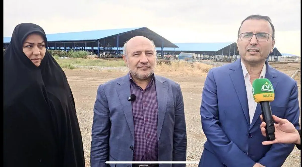 منطقه آزاد ماکو، فرصت طلایی سرمایه‌گذاری در زنجیره دام و طیور