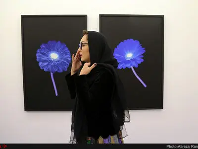 تصاویر افتتاحیه نمایشگاه عکس نیکی کریمی