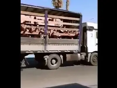 جابجایی دانش‌آموزان یک مدرسه در جهرم با کامیون + فیلم