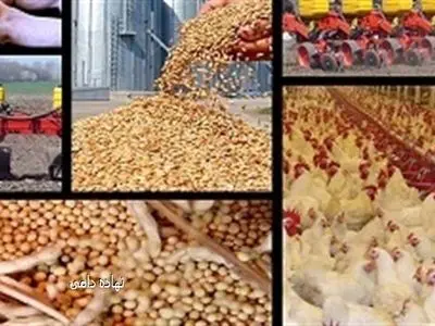 اجرای طرح تک نرخی شدن ارز جلوی انحراف و فساد را می‌گیرد