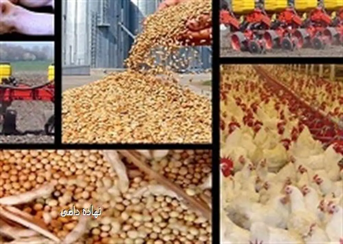اجرای طرح تک نرخی شدن ارز جلوی انحراف و فساد را می‌گیرد