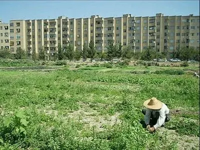 تغییر کاربری اراضی کشاورزی، چرخه تولید را کند می‌کند