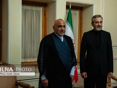 دیدار معاون دبیرکل مجلس اعلای اسلامی عراق با سرپرست وزارت خارجه