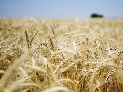 افزایش شاخص جهانی قیمت مواد غذایی در پی تحولات خلیج فارس