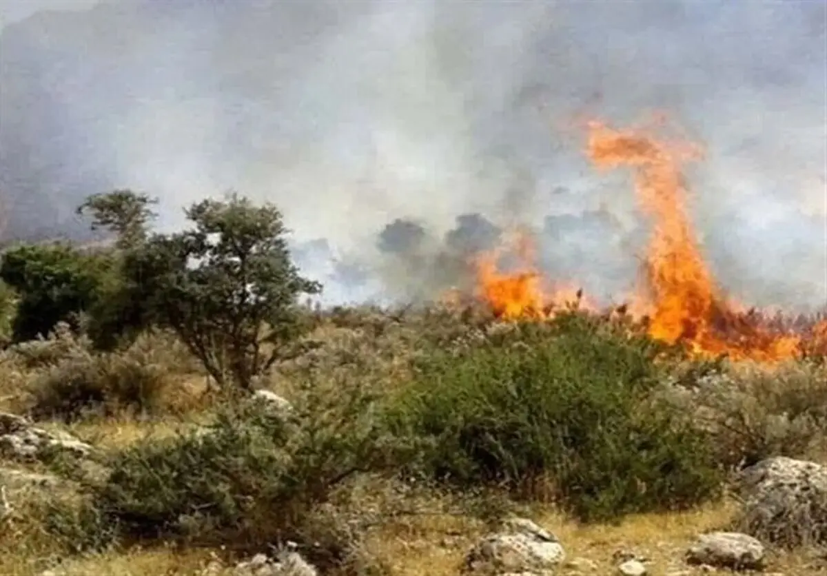 آتش‌سوزی در باغات روستای دسک عنبرآباد مهار شد