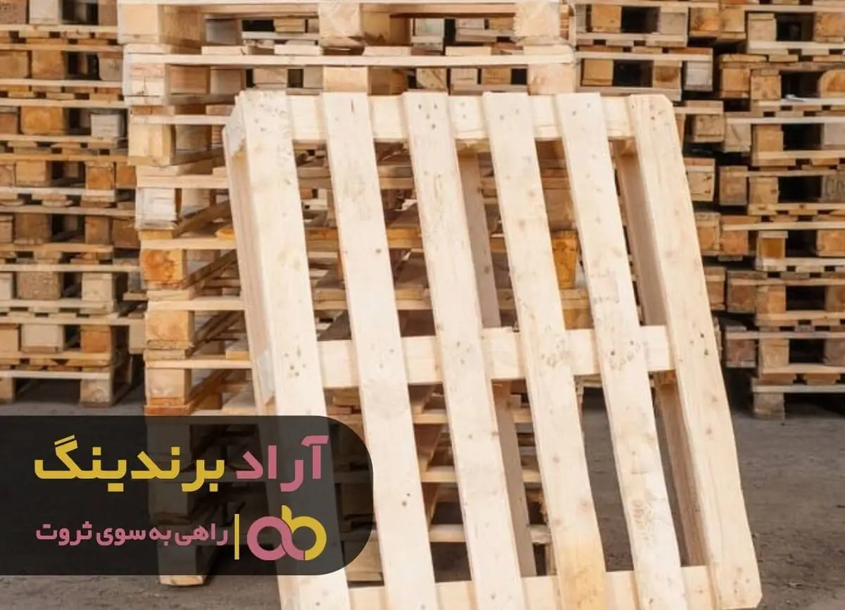 با سرمایه گذاری روی عقل خود پولدار شوید
