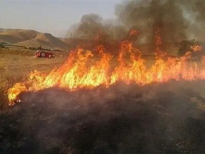 آتش به جان باغات و مزارع گندم در جوانرود افتاد