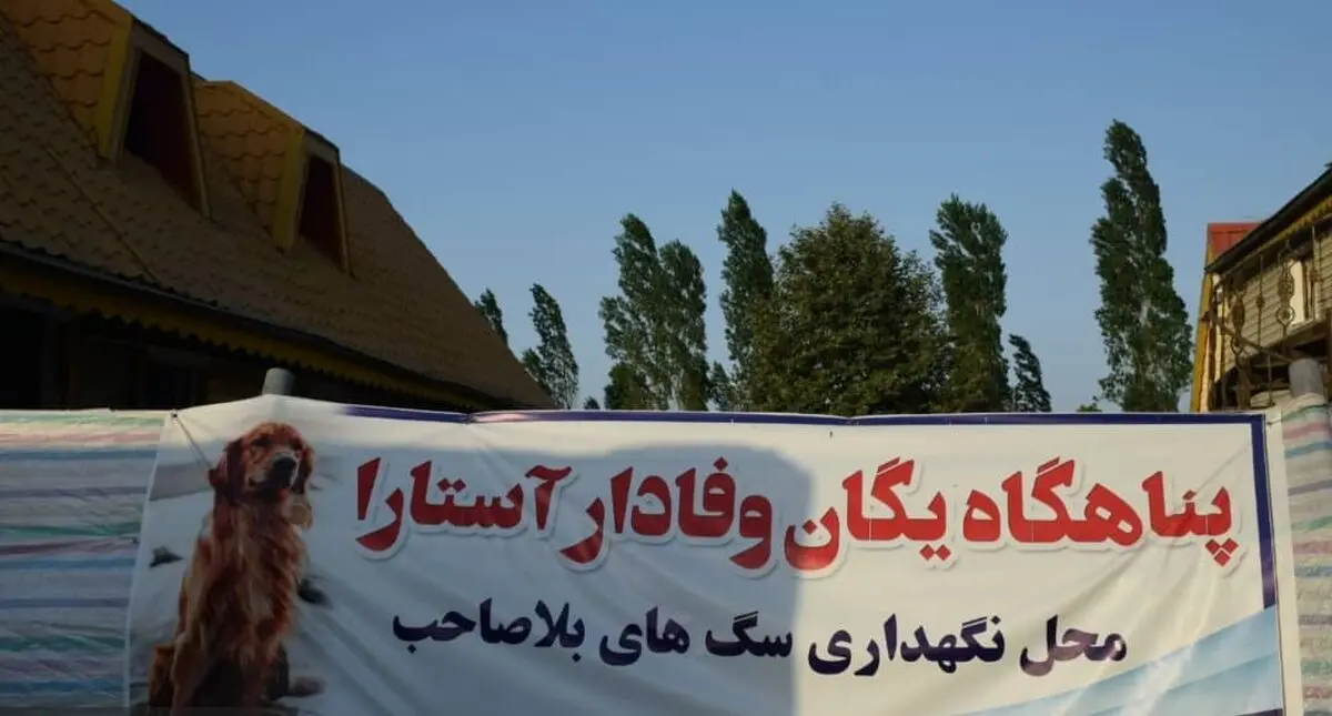 ساماندهی سگ‌های بدون صاحب  در آستارا