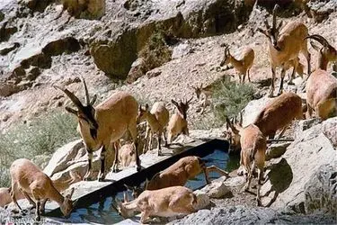 تداوم آبرسانی مستمر به منطقه هفتادقله تا زمان بهبود شرایط بارندگی