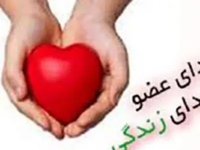 مادر ۴۳ ساله قلعه رییسی جان سه بیمار نیازمند را نجات داد