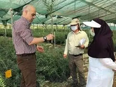 اجرای 207 دوره آموزشی برای کشاورزان استان همدان