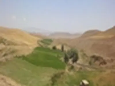 کاشت گونه‌ی سماق در اراضی ملی استان زنجان