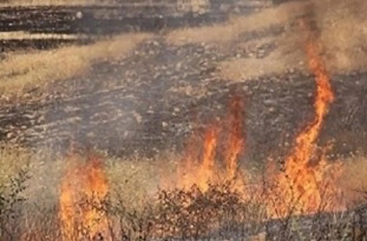 مهار آتش‌سوزی تالاب گندمان 