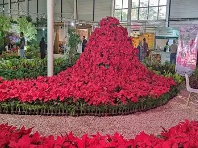 بیستمین نمایشگاه گل و گیاه مشهد چهارشنبه افتتاح می‌شود