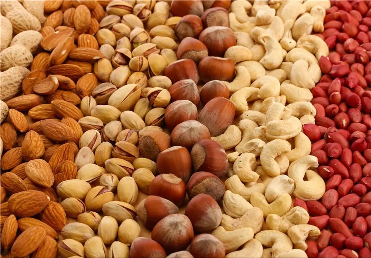 فردا؛آغاز بکار پنجمین نمایشگاه بین‌المللی خشکبار،آجیل،میوه‌های خشک و صنایع وابسته