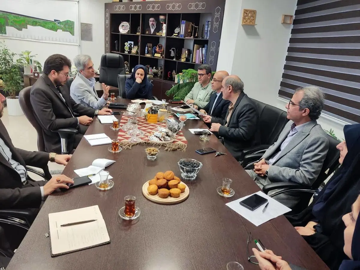 دانشگاه گیلان و سازمان منطقه آزاد انزلی تدوین «سند توسعه صنایع خلاق» را آغاز کردند