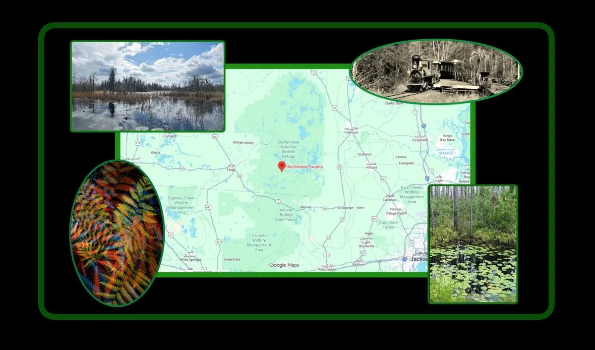 ثبت انرژی «اسرارآمیز» یک باتلاق جادویی/ عکس‌هایی که ژانر وحشت را تداعی می‌کنند