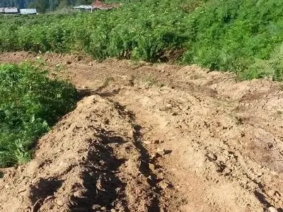 asdasd